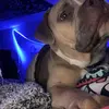 ..kennadiporter - @..kennadiporter - TikTok
