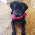 Kennedy Bennett - @puppykennedy - Instagram