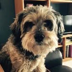 Rooby Tuesday Kennedy Hobson - @roobytuesdayhobson - Instagram