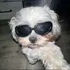 kennedylandes - @kennedy.landes - TikTok