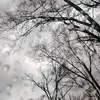 kennedylandyn77 - @kkennedyzv - TikTok