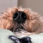 Kennedy Logan - @twinniclow - Instagram