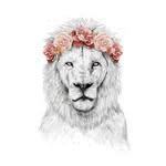 Kennedymagee12 - @kennedymagee12 - Instagram