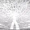 kennedymagee317 - @kennedymagee317 - TikTok
