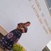 Kennedy Robertson - Facebook