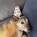 Ken Aitchison - Facebook