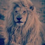 Kenneth Ali - @kennethali6 - Instagram