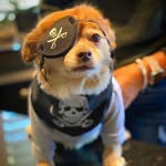 Kenneth ali - @kennethali5 - Instagram
