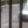 Kenneth Aldhizer - @kenneth.aldhizer - TikTok