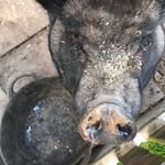 Jason - @kennethanderson5286594 - Instagram