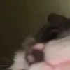 Kenneth Sanders - @kennethsanders1520 - TikTok