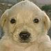 Keneth Avalos - Facebook