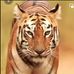 Kenneth Baird - Facebook