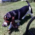 @kennethbattenfield - Instagram