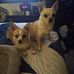 Ken Beauchamp - Facebook