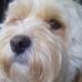 Kenneth Beecroft - Facebook