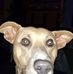 Ken Begin - Facebook