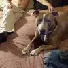 kennethbenzie417 - @kennethbenzie417 - TikTok