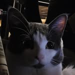 kenneth - @kenneth_besick - Instagram