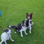 Kenneth Bevers - @kennethbevers - Instagram