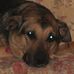 Kenneth Board - Facebook