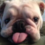 Kenneth Boardwine - @kennethboardwine - Instagram