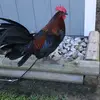 Kenneth Bourque - @kwbj9669 - TikTok