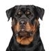 Kenneth Bowen - Facebook