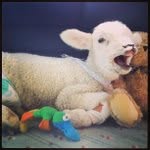 Kenneth Bozeman - @kennethbozeman79 - Instagram