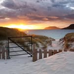 Kenneth Bracewell - @bracewellkenneth - Instagram