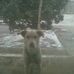 Kenneth Bratton - Facebook
