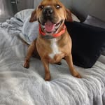 Kenneth Breen - @uconn1124 - Instagram