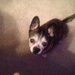 Kenneth Brimer - Facebook