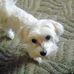 Kenny Brittain - Facebook