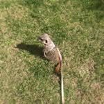 Kenneth Broyles - @broyles4420 - Instagram