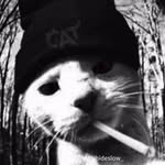 Kenneth Brusas - @kennethbrusas - Instagram