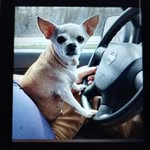 Kenneth Burrus - @kennethburrus - Instagram