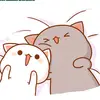 Gatito😺👍 - @calvinkenneth2 - TikTok