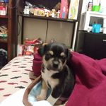 Cantwell kenneth - @cantwell.kenneth - Instagram