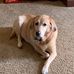 Kenneth E. Carden - Facebook