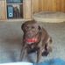 Kenneth Case - Facebook