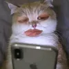 KennethCase - @leobeiho6ls - TikTok