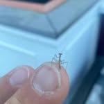 Kenneth Cassell - @cassell_kenneth - Instagram