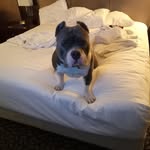 Kenneth Chapple - @kenneth.chapple.1 - Instagram