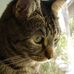 Kenneth Chien - Facebook