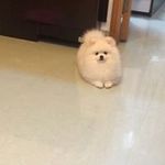 Kenneth Ching - @ching7482 - Instagram