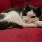 Kenneth Michael Clair - @ken1632 - Instagram