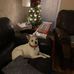 Ken Cockerham - Facebook