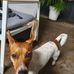 Kenneth Coe - Facebook