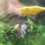 kenneth coene - @kennethcoene - Instagram